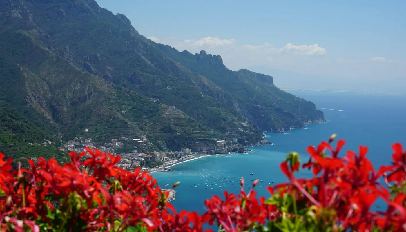 Geraniums overlooking the Amalfi Coast