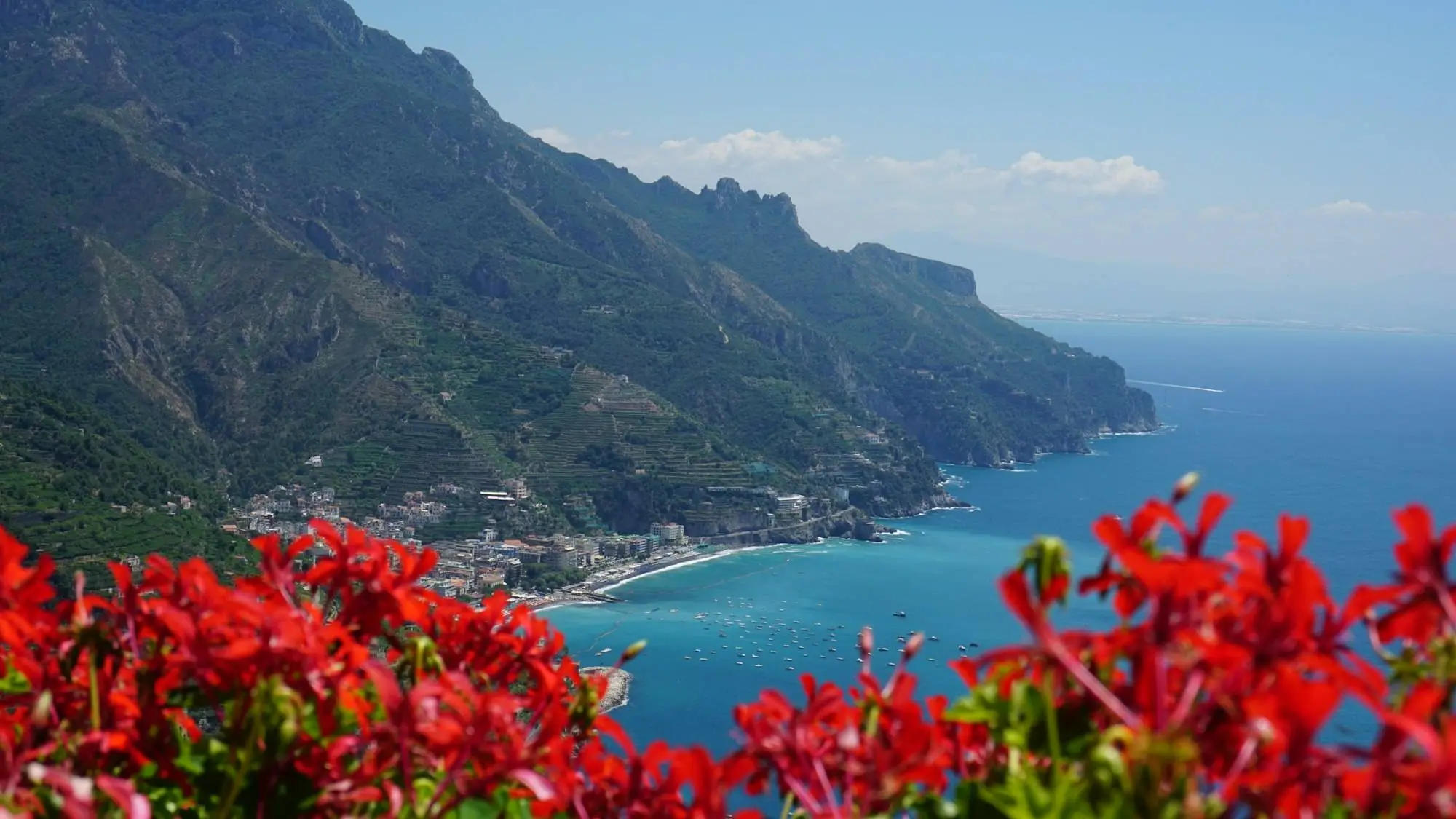 Geraniums overlooking the Amalfi Coast