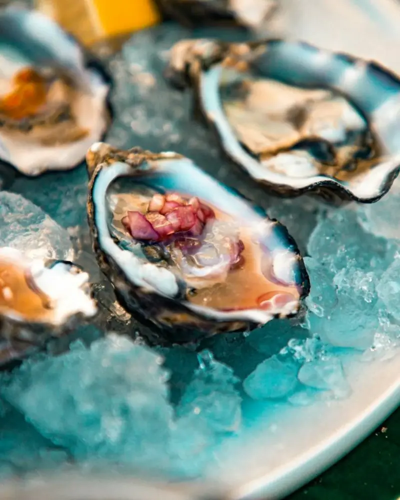 Oysters on ice with lemon