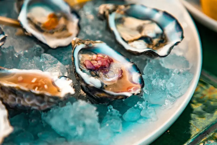 Oysters on ice with lemon