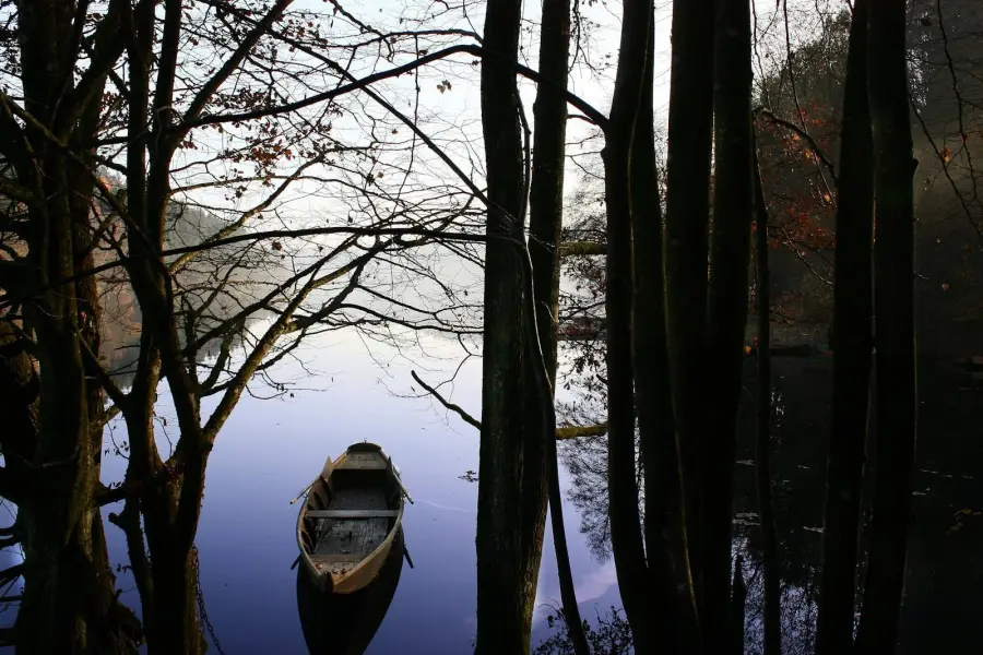 Rowing boat on a misty lake