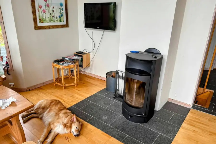 Golden dog sleeping by a wood burner